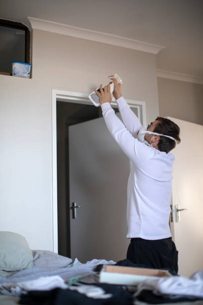 Best Emergency Mold Remediation  in East Village, CT