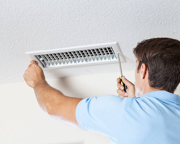 Best Attic Mold Removal  in East Village, CT
